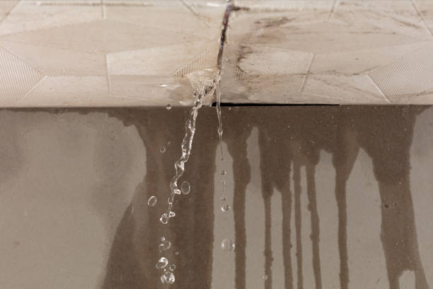 Professional Flood Damage Cleanup technician working in Dodge, WI